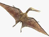Новые археологические находки говорят о том, что некоторые древние летающие рептилии  птерозавры  имели размах крыльев 18 м
