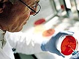 Колонизация Америки человеком началась 23 тысячи лет назад Колонизация Америки человеком началась 23 тысячи лет назад