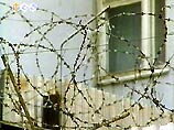 В Гуантанамо голодает почти половина заключенных В Гуантанамо голодает почти половина заключенных