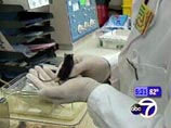 В США из лаборатории пропали мыши, зараженные бубонной чумой