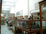 Из каирского музея пропали экспонаты, относящиеся к эпохе фараонов Из каирского музея пропали экспонаты, относящиеся к эпохе фараонов