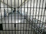 Племянник Саддама Хусейна приговорен к пожизненному заключению в тюрьме Племянник Саддама Хусейна приговорен к пожизненному заключению в тюрьме