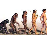 Эволюция - развитие одной формы из другой; более сложной и совершенной из простейшей (зародышевой) формы