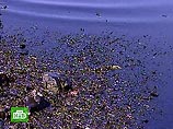 Разлив нефтепродуктов во Владивостоке, в результате которого мазут попал в море, произошел минувшей ночью на территории одной из воинских частей Тихоокеанского флота