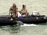 Katrina выпустила на волю 36 дельфинов-террористов
