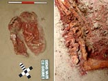 В Австрии найдена могила с двумя новорожденными Ледникового периода 