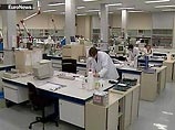 Симметричное лицо свидетельствует о здоровье его обладателя, выяснили американские ученые Симметричное лицо свидетельствует о здоровье его обладателя, выяснили американские ученые