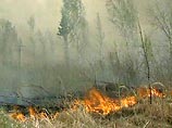 Лесные и торфяные пожары в Московской области в среду начнут тушить с помощью самолетов и вертолетов МЧС России