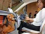 Honda создала автомобиль для владельцев собак (ФОТО)