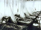 Эпидемия "испанки", унесшая 50 миллионов жизней в 1918 году, была вызвана вирусом "птичьего гриппа", получившим возможность передаваться от человека к человеку