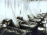 Эпидемия "испанки", унесшая 50 миллионов жизней в 1918 году, была вызвана вирусом "птичьего гриппа", получившим возможность передаваться от человека к человеку Эпидемия "испанки", унесшая 50 миллионов жизней в 1918 году, была вызвана вирусом "птичьего гриппа", получившим возможность передаваться от человека к человеку