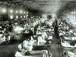 В США воссоздан вирус "птичьего гриппа", унесший в 1918 году 50 миллионов человеческих жизней