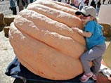 Американский сварщик вырастил гигантскую тыкву весом 654 кг