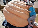 Американский сварщик вырастил гигантскую тыкву весом 654 кг Американский сварщик вырастил гигантскую тыкву весом 654 кг