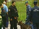 В Санкт-Петербурге на трамвайной остановке найдена сумка с 18 кг тротила В Санкт-Петербурге на трамвайной остановке найдена сумка с 18 кг тротила