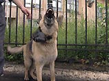 В российских аэропортах усилены меры безопасности из-за событий в Нальчике В российских аэропортах усилены меры безопасности из-за событий в Нальчике
