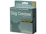 Собачьи презервативы Dog Condoms продавались в трех размерах: маленький, средний и большой. Также можно было купить варианты со смазкой и с запахом мяса