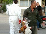 В Турции госпитализированы девять человек с подозрением на "птичий грипп" В Турции госпитализированы девять человек с подозрением на "птичий грипп"