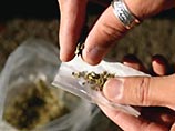 Марихуана увеличивает мозг, установили канадские ученые Марихуана увеличивает мозг, установили канадские ученые