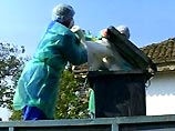 Обнаруженный в Румынии вирус "птичьего гриппа" является смертельно опасным для людей