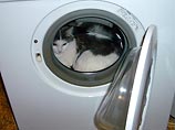Как установило следствие, 34-летняя Холли Такер поместила кота в работающую стиральную машину в ее доме в Норидже за то, что он, по словам женщины, поцарапал ее