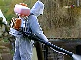 Вирус "птичьего гриппа" выявлен у одной из мертвых уток в Швеции Вирус "птичьего гриппа" выявлен у одной из мертвых уток в Швеции