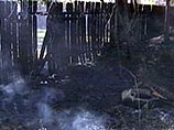 Объятый пламенем грызун вызвал пожар в американском городке