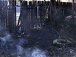 Объятый пламенем грызун вызвал пожар в американском городке Объятый пламенем грызун вызвал пожар в американском городке