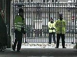Британский пенсионер получил срок за зверское убийство кота Британский пенсионер получил срок за зверское убийство кота