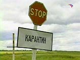 В 2006 году вся восточно-европейская часть России можется оказаться под угрозой "птичьего гриппа" В 2006 году вся восточно-европейская часть России можется оказаться под угрозой "птичьего гриппа"