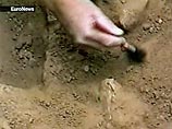 В городе Фромборк в кафедральном соборе в августе этого года археологами из Высшей школы гуманистических наук в Пултуске были обнаружены останки человека