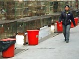 Глава ВОЗ призвал весь мир готовиться к распространению "птичьего гриппа" среди людей Глава ВОЗ призвал весь мир готовиться к распространению "птичьего гриппа" среди людей