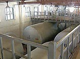 Сегодня в березовом лесу наконец-то выросли два строения, похожих на ангары, где снуют люди в строительных касках, шумят бетономешалки и дрели, пишет издание Сегодня в березовом лесу наконец-то выросли два строения, похожих на ангары, где снуют люди в строительных касках, шумят бетономешалки и дрели, пишет издание