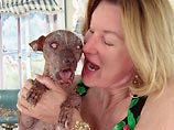 В США накануне своего 15-летия скончалась самая уродливая собака в мире