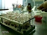 В Алтайском крае из-за псевдочумы массово гибнут голуби и воробьи В Алтайском крае из-за псевдочумы массово гибнут голуби и воробьи