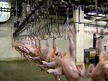 Евросоюз согласился ограничить запрет на экспорт живой птицы из России Евросоюз согласился ограничить запрет на экспорт живой птицы из России