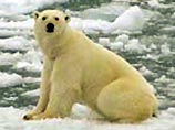 Темпы повышения уровня мирового океана увеличились в два раза, выяснили ученые Темпы повышения уровня мирового океана увеличились в два раза, выяснили ученые