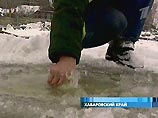 Ядовитое пятно войдет в Амур в течение 2-3 дней Ядовитое пятно войдет в Амур в течение 2-3 дней