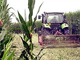 Швейцарцы сказали "нет" генетически измененным продуктам на 5 лет Швейцарцы сказали "нет" генетически измененным продуктам на 5 лет
