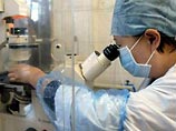 Минздрав КНР сообщил о мутации вируса "птичьего гриппа" Минздрав КНР сообщил о мутации вируса "птичьего гриппа"