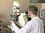 Британские эксперты попытаются установить причину смерти пяти подростков в Красноярске Британские эксперты попытаются установить причину смерти пяти подростков в Красноярске