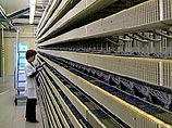 В 19 регионах России изменились междугородние телефонные коды В 19 регионах России изменились междугородние телефонные коды
