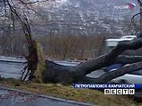 Власти Камчатки подсчитывают ущерб, нанесенный ураганом Власти Камчатки подсчитывают ущерб, нанесенный ураганом
