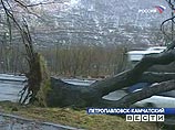 На Камчатке от урагана пострадали 28 школ, детских садов и детских домов На Камчатке от урагана пострадали 28 школ, детских садов и детских домов