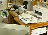В Москве прошли обыски в офисе банка концерна, возглавляемого Немцовым В Москве прошли обыски в офисе банка концерна, возглавляемого Немцовым