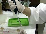 От "птичьего гриппа" в Таиланде умер пятилетний ребенок
