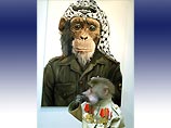 В письме, направленном посольством Гельману выражался протест в связи с тем, что в рамках выставки "Психодарвинизм" экспонировался портрет обезьяны в арабской куфие, кителе с нашивкой в виде исламской символики и нагрудным знаком, напоминающим нацистский