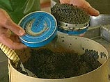 В России могут запретить продажу осетровых и икры на рынках В России могут запретить продажу осетровых и икры на рынках