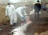 "Птичий грипп" охватывает все новые районы Турции "Птичий грипп" охватывает все новые районы Турции