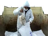 Российские туристы не испугались "птичьего гриппа". Отказов от поездок в Турцию нет Российские туристы не испугались "птичьего гриппа". Отказов от поездок в Турцию нет